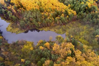 Lethe flows into the Lethetalsperre, Ahlhorner Fischteiche, Hoheging, Ahlhorn, Lower Saxony,