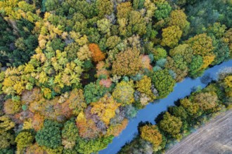 Autumn-colored trees on the Hunte, forest, aerial view, Westrittrum, Großenkneten, Lower Saxony,