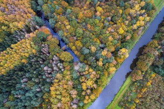 Autumn-colored trees on the Hunte, forest, autumn, Pestrup, aerial view, Wildeshausen, Lower