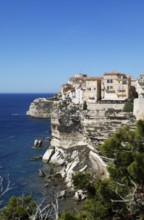 Ville haute or upper town on the Île de Fazio headland, medieval old town, Bonifacio, Corse-du-Sud