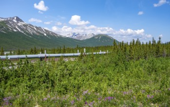 Alaska Pipeline Oil Pipeline, Alaska Range, Richardson Highway, Alaska, USA