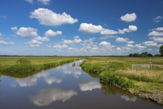 Trenches in the Bornhorster Huntewiesen nature reserve on the Hunte in the Wesermarsch, Oldenburg,
