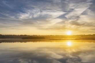 Ahlhonrer fish pond with fog at daybreak, fog, reeds, sunrise, Ahlhorn, Lower Saxony, Germany