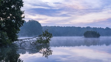 Daybreak with fog at blue hour in the Ahlhorner Fischteiche nature reserve of the Lower Saxony
