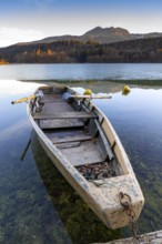 Wooden rowing boat on wintry Reintaler See, Reintaler See, Tyrol, Austria