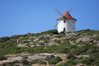 Moulin de Mattei windmill, Cap Corse, Haute-Corse Department, Corsica, Mediterranean Sea, France