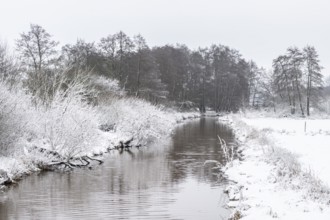 Winter landscape on the Ems, Emsland, Lower Saxony, Germany