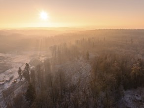 Foggy winter landscape with trees under golden morning sun, old deposit, construction site for PV