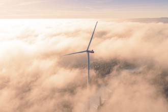 Single wind turbine rising from foggy sea, surrounded by morning light, Bad Wildbad, Calw district,