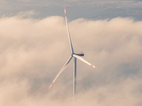 Large wind turbine in a sea of clouds surrounded by soft morning light, Bad Wildbad, Calw district,