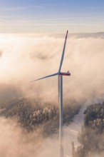 Large wind turbine in a foggy tree landscape, caught in a golden evening mood, Bad Wildbad, Calw