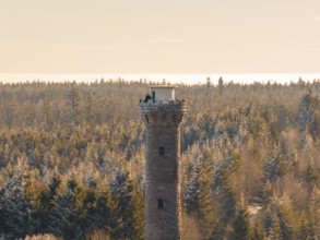 A detailed view of an observation tower surrounded by snow-covered trees, Holohturm, Gernsbach,