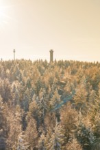 A wintery afternoon shot of a snowy forest with tower, Holohturm, Gernsbach, Rastatt district,
