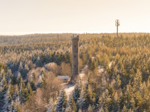 A sunny day with an observation tower between snow-covered fir trees along a forest trail,