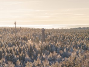 View of a winter forest with a tower and cell phone tower in the evening, Holohturm, Gernsbach,