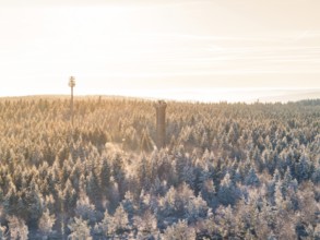 A snow-covered forest with a tower in the morning sun, Holohturm, Gernsbach, Rastatt district,