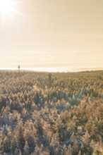Landscape view of a snow-covered forest with tower in the morning sun, Holohturm, Gernsbach,
