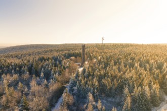 A wide view of a snow-covered forest with a tower on the horizon, Holohturm, Gernsbach, Rastatt