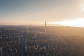 A dense forest with tall wind turbine towers on the horizon, surrounded by soft sunset light and