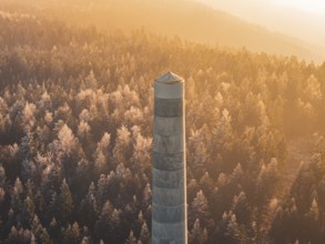 A single wind turbine tower rises above thick trees that glow in the light of the golden hour, far