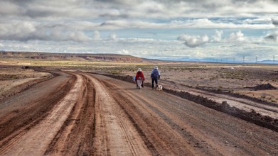 Two people and a dog on a deserted desert path under a cloudy sky, The landscape of the Altiplano