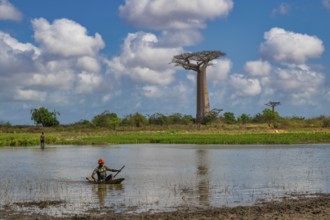 Boaters in a small lake on Baobab Alley in western Madagascar