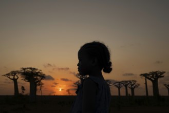 Little girl at sunset in front of a small baobab forest in western Madagascar