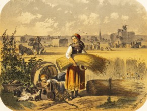 Young woman with baby in a stroller on a cornfield, agriculture, harvest, grain, bundle, sickle to