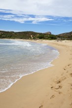 Plage d'Arone sandy beach, Capo Rosso and the Genoese Tower in the back, Piana, Corse-du-Sud