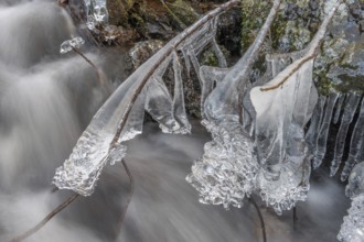 Branches are covered with ice near the river. The water flows gently and forms ice formations on