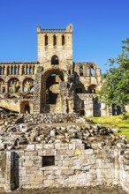Jedburgh Abbey, Augustinian Abbey, Jedburgh, Scottish Borders, Scotland, UK
