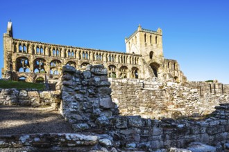 Jedburgh Abbey, Augustinian Abbey, Jedburgh, Scottish Borders, Scotland, UK