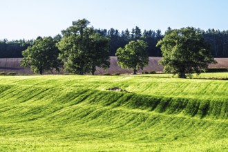 Scottish fields and farms, Southeast Scotland, UK