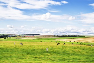 Scottish fields and farms, Southeast Scotland, UK