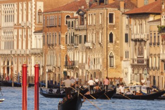 Gondolas and palaces on the Grand Canal, Venice, Veneto, Italy