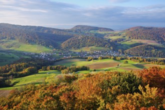 View from the Gisliflue of an autumnal forest with the Jura foothills behind, Talheim, Canton,