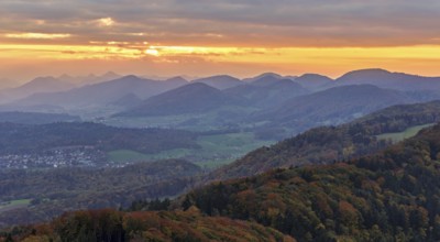 View of an autumnal forest from the Gisliflue, behind the Jurassic foothills in the light of the