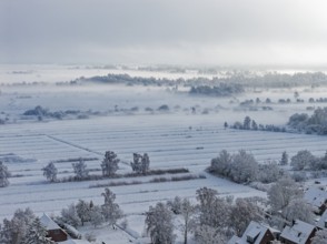 The onset of winter with snow and ground fog in Hamburg's Kirchwerder Wiesen Nature Reserve in the