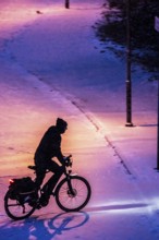 Winter weather, blowing snow, person with e-bike, bicycle on snowy road, North Rhine-Westphalia,