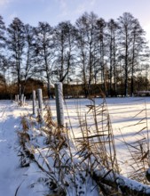 Winter landscape, fields and fields in Berlin Lübars, a village in Berlin Reinickendorf, Germany