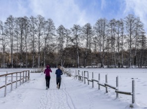 Athletes in winter in the midst of fields and fields in Berlin Lübars, Reinickendorf District,