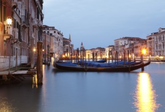 Gondolas and palaces on the Grand Canal, Venice, Veneto, Italy