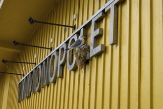 Yellow building of the Norwegian state wine monopoly with sign and floodlights and a breeding
