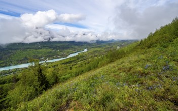 View of snowy mountains in spring and turquoise blue Kenai River, Slaughter Ridge Trail, Cooper