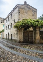 Grazia Deledda (1871-1936) was an Italian writer who received the Nobel Prize in Literature in 1926