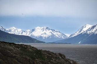 View over the Turnagain Arm estuary to the mountains of the Kenai Peninsula, Anchorage, Alaska, USA