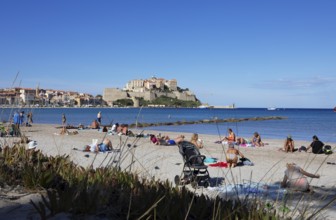 Calvi beach, back the citadel, Balagne, Haute-Corse department, Corsica, France