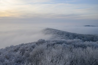 Snowy range of hills with frosty trees in the morning light, Hermannsweg an der Steinegge, Dissen