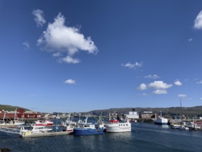 Several fishing boats in Batsfjord harbour, blue sky, mountains in the background, sunny day,