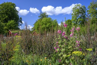 A picturesque garden with flowers and a rural house in the background, the colorful cottage garden
